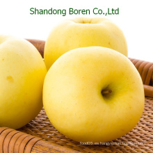 Manzana dorada fresca para la venta, China